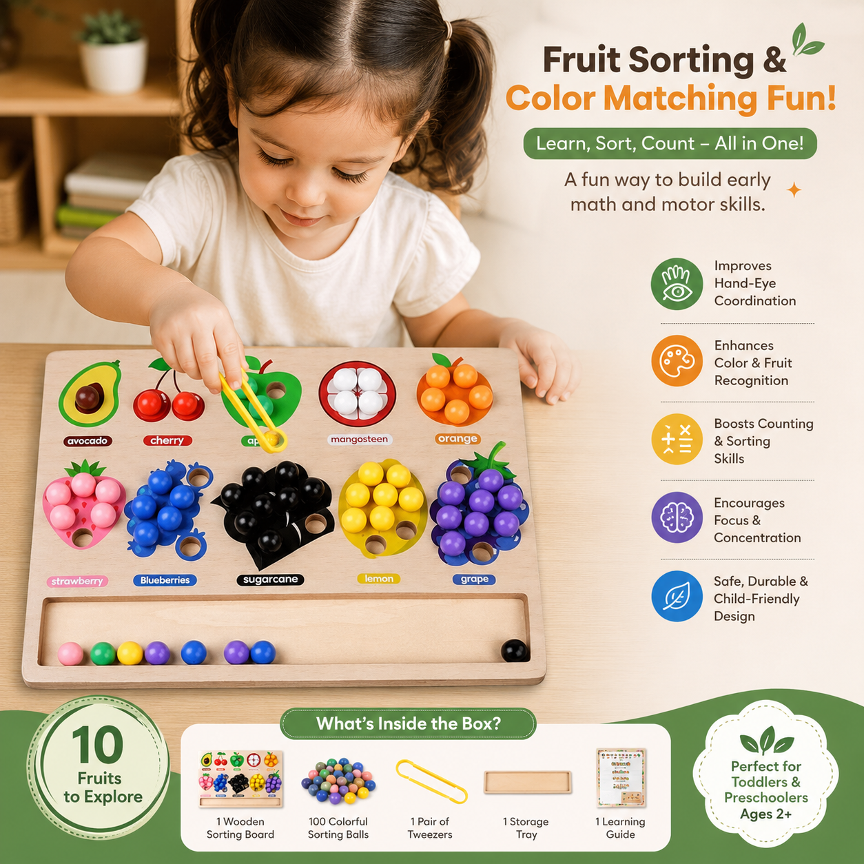 Montessori Wooden Fruit Sorting Puzzle Board