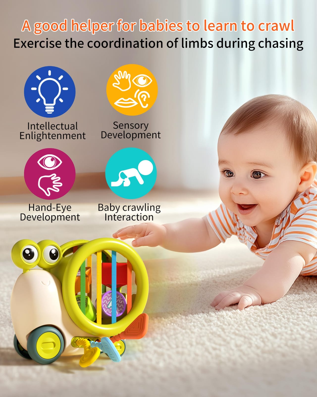 Snail Early Education Sensory Shape Sorting