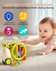 Snail Early Education Sensory Shape Sorting