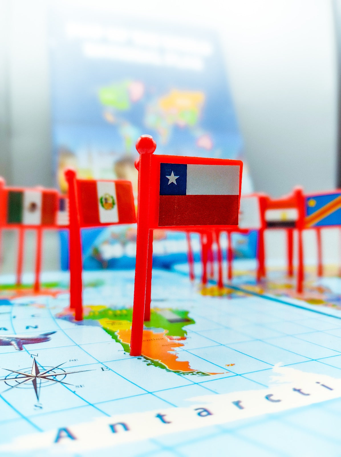 Wooden World Map with Recognition Flags