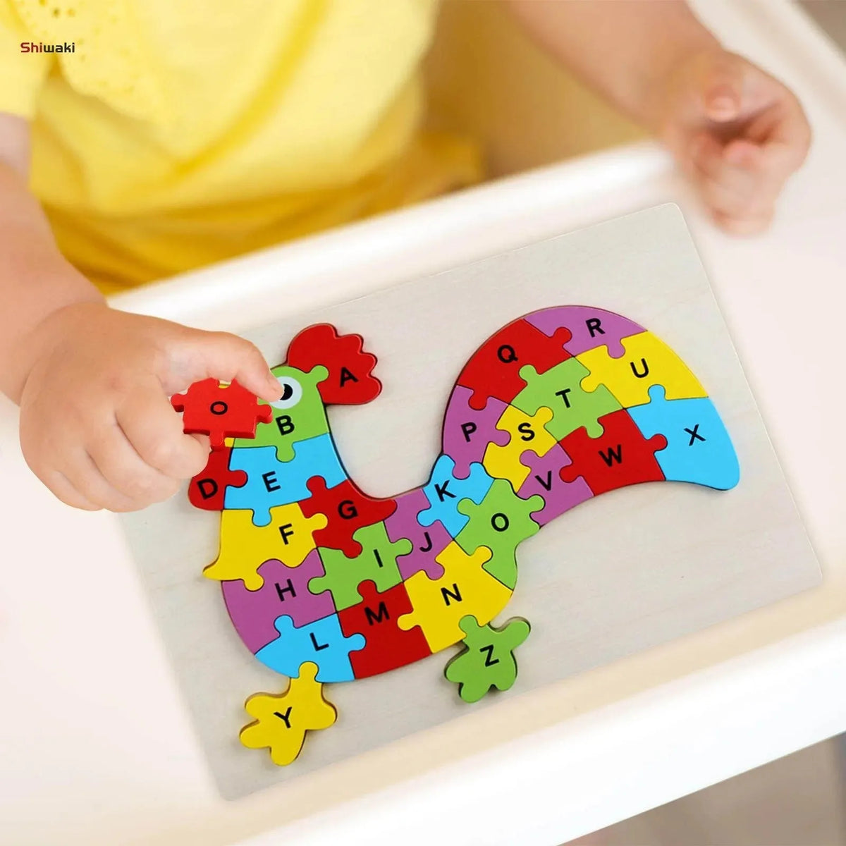 Wooden 3D Number Sorting Puzzle ( 20+ Designs )