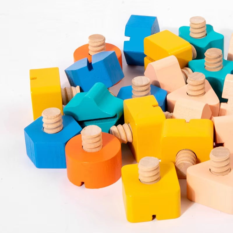 Shape Screw and Nut Combination Wooden Kit