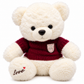 Teddy Bear Plush with Sweater – Soft & Cuddly