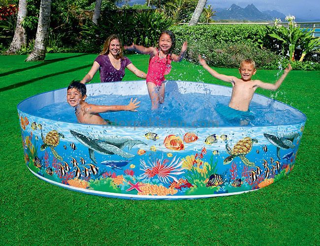INTEX Coral Reef Snapset Pool (8' x 1'6")