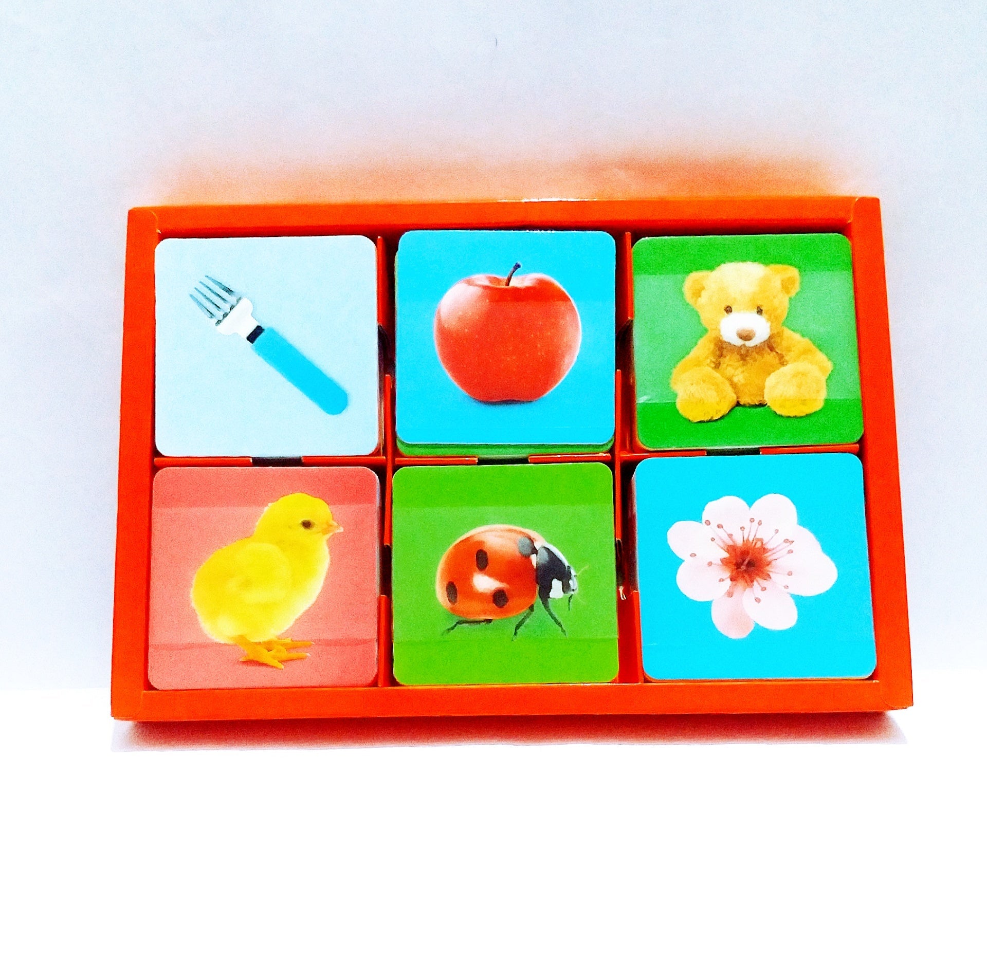 Early Education Baby Learning Cards