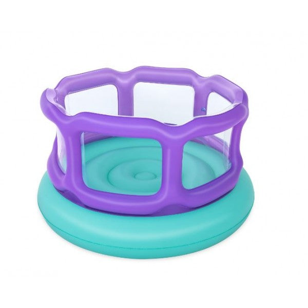 Jumping Castle Inflatable Bounce House