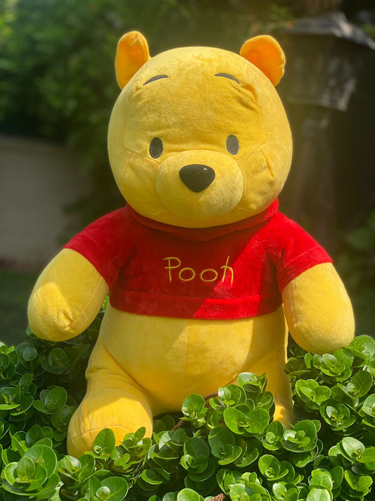 Winnie Pooh Plush toy - 25cm