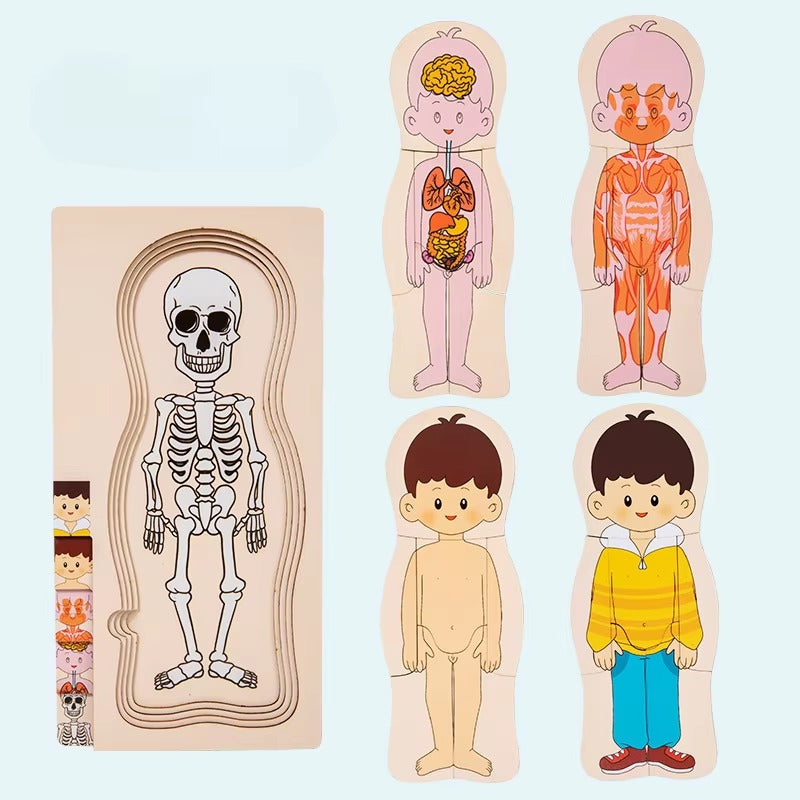 Wooden Montessori Human Body Structure Jigsaw Puzzle Board - JustForKids
