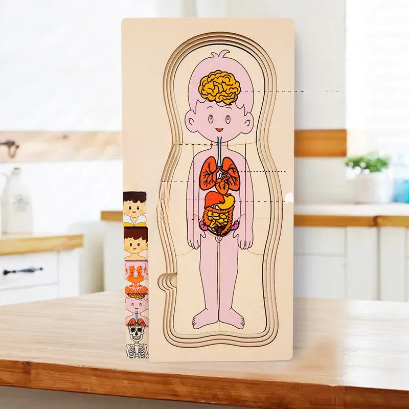 Wooden Montessori Human Body Structure Jigsaw Puzzle Board - JustForKids
