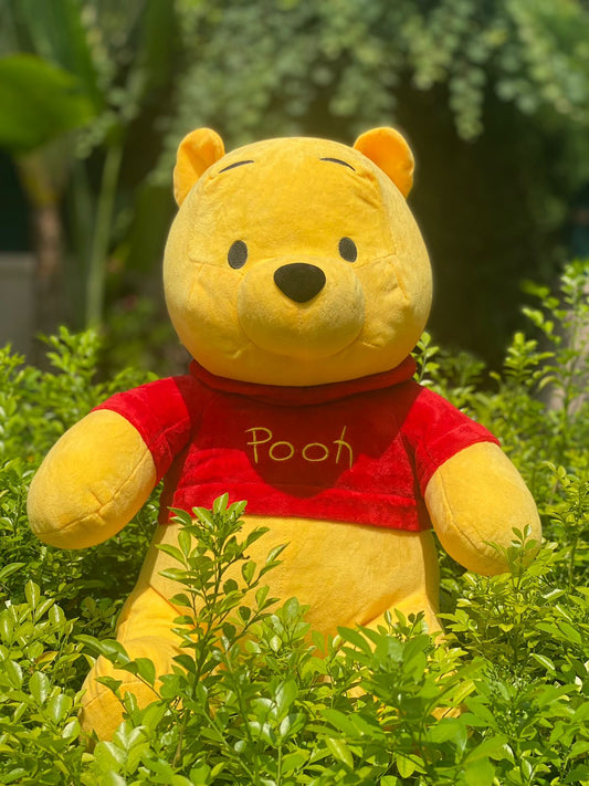 Winnie Pooh Plush toy - 25cm