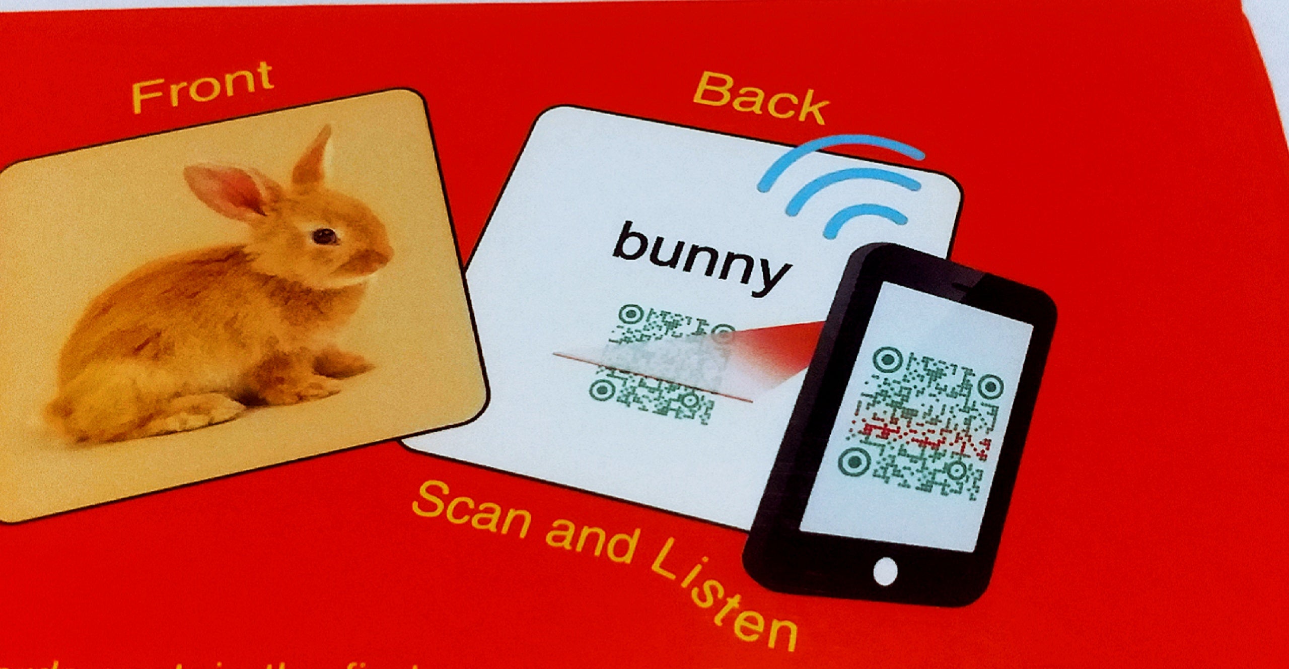 Early Education Baby Learning Cards