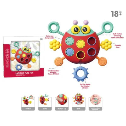 ladybug-shaped pull string rattle