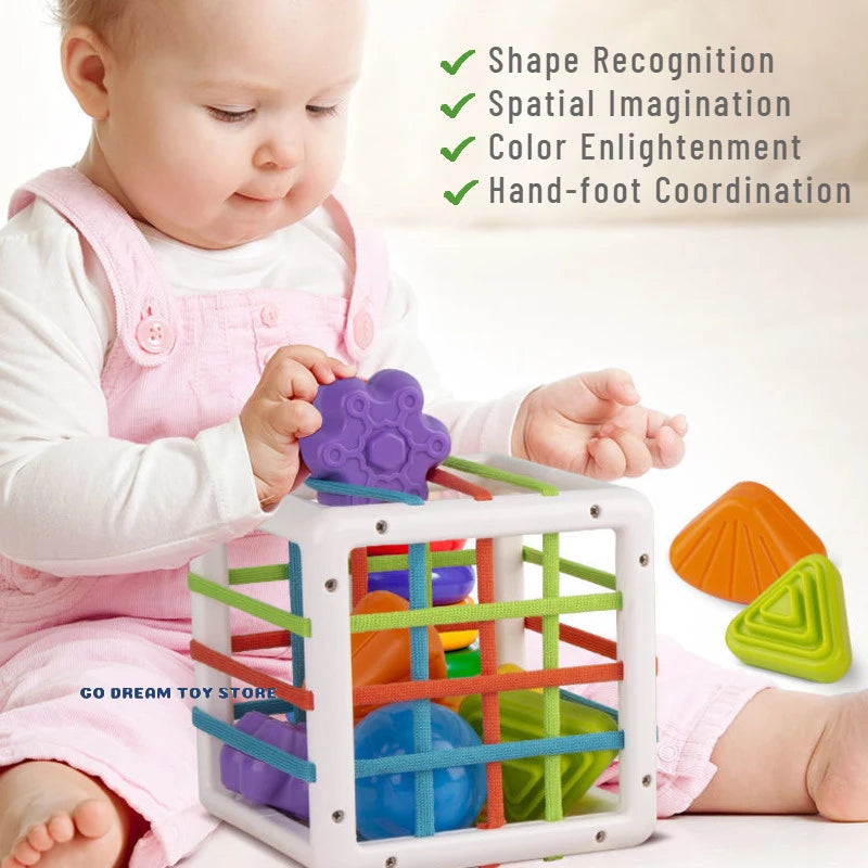Inny Bin - Shape Sorter Toy (6 Shapes)
