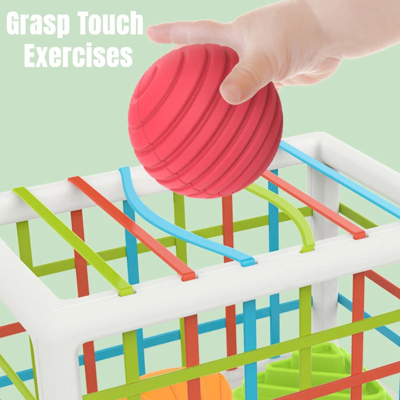 Inny Bin - Shape Sorter Toy (6 Shapes)