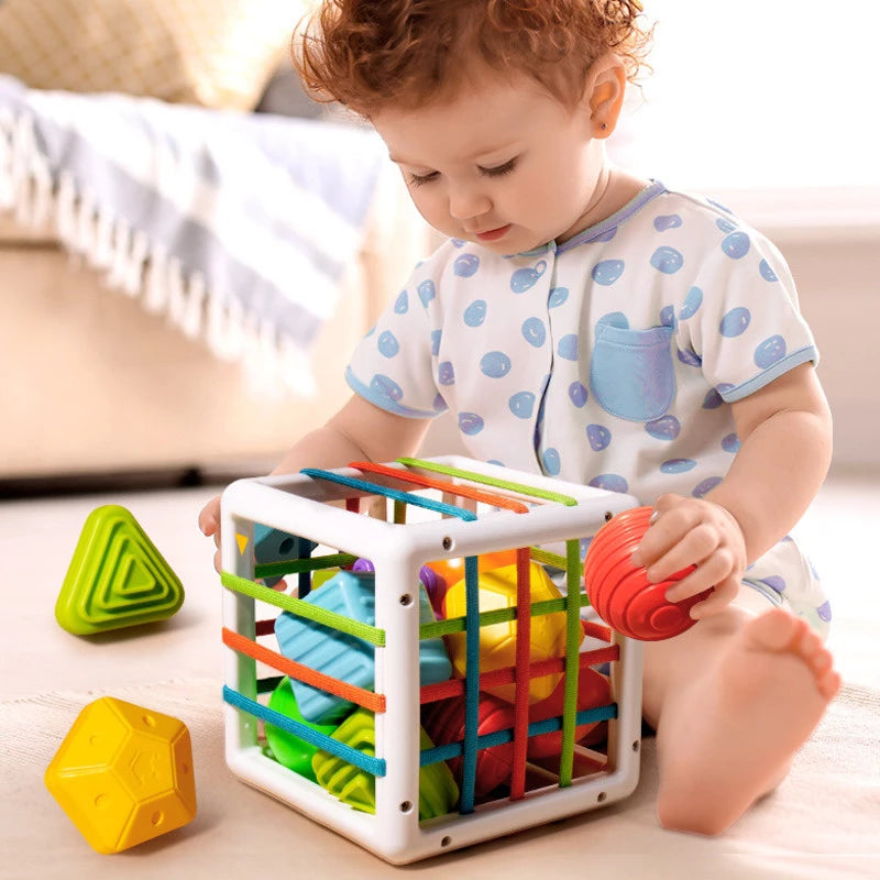 Inny Bin - Shape Sorter Toy (6 Shapes)