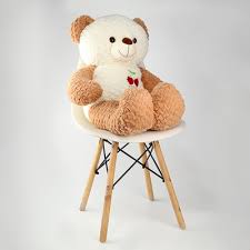 Soft & Cuddly Teddy Bear Plush Toy