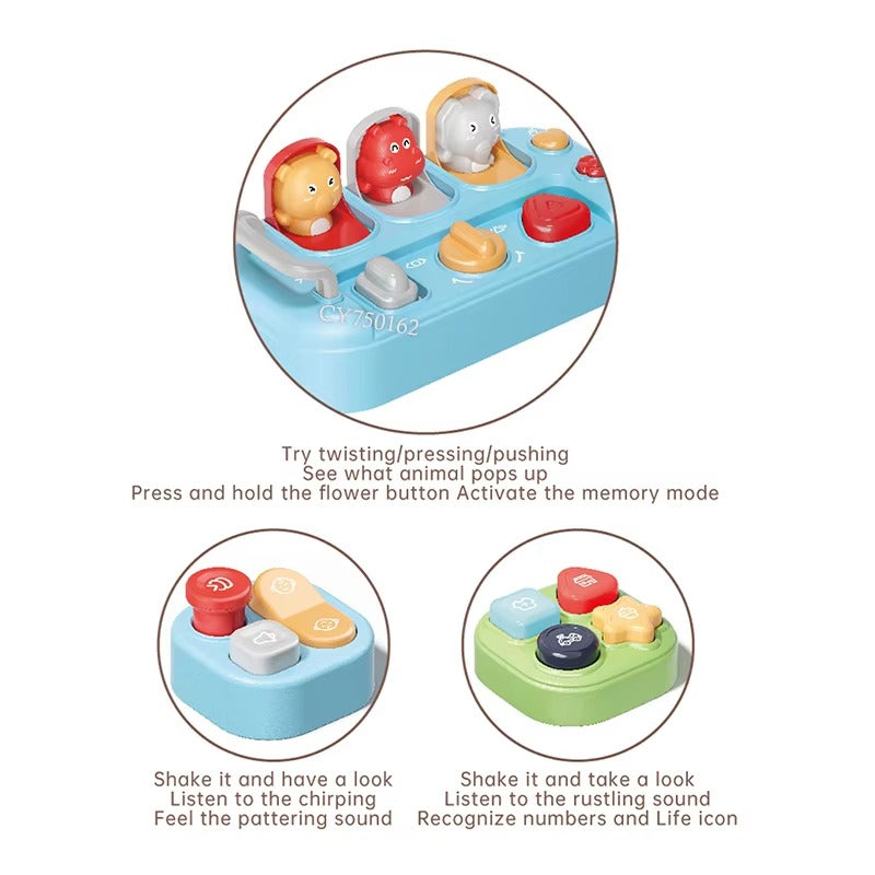 Block Island Multifunctional Learning Activity Table