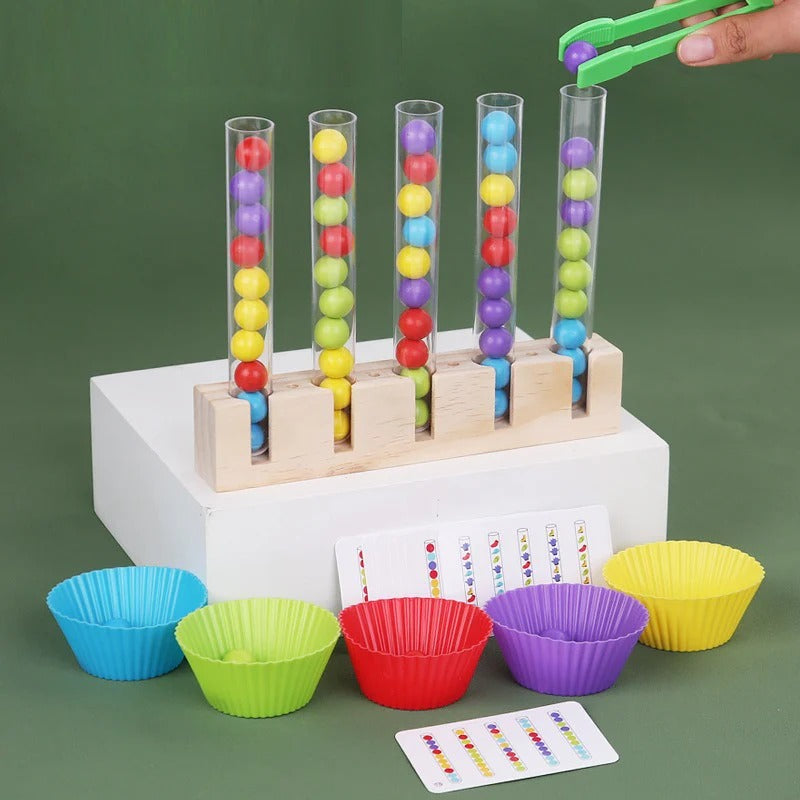 5 in 1 Montessori Math & Color Sorting Bead Set