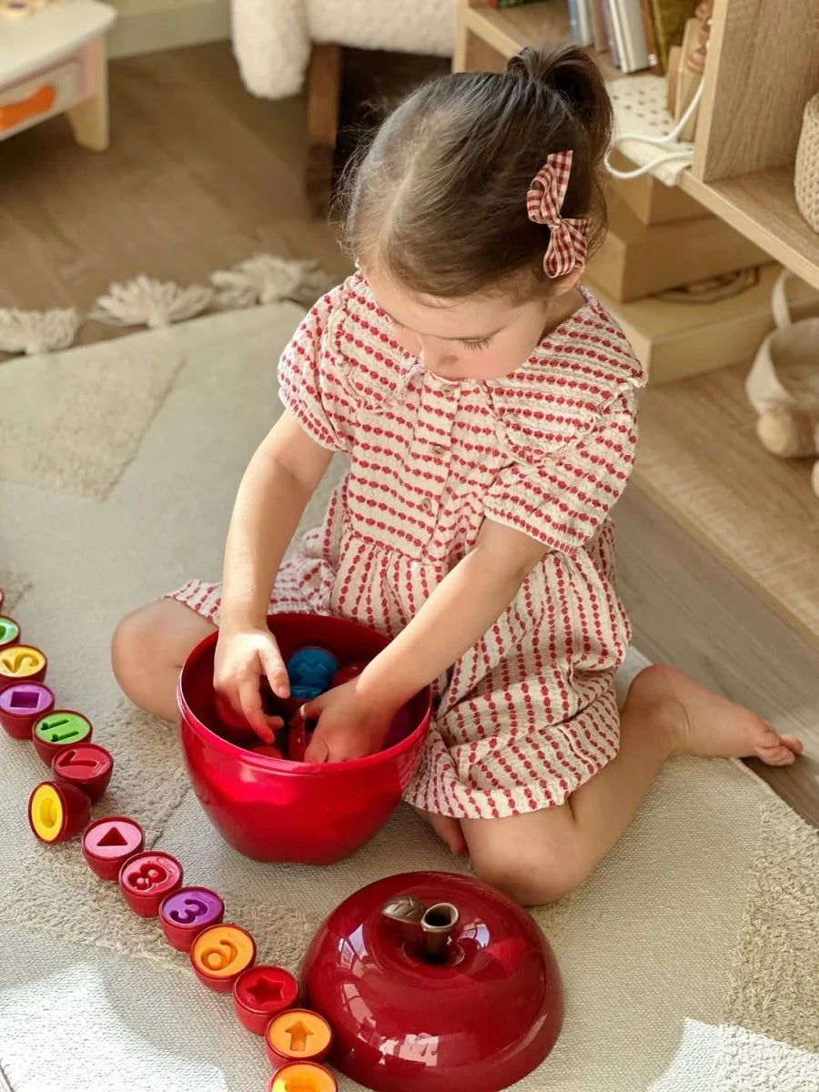 Apple Smart Eggs – Montessori Matching & Learning Toy