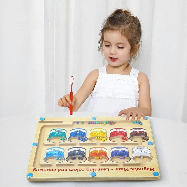 Magnetic Colors & Numbers Sorting Maze
