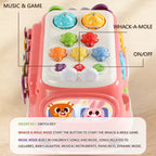 6 in 1 Multi-functional Baby Activity Car