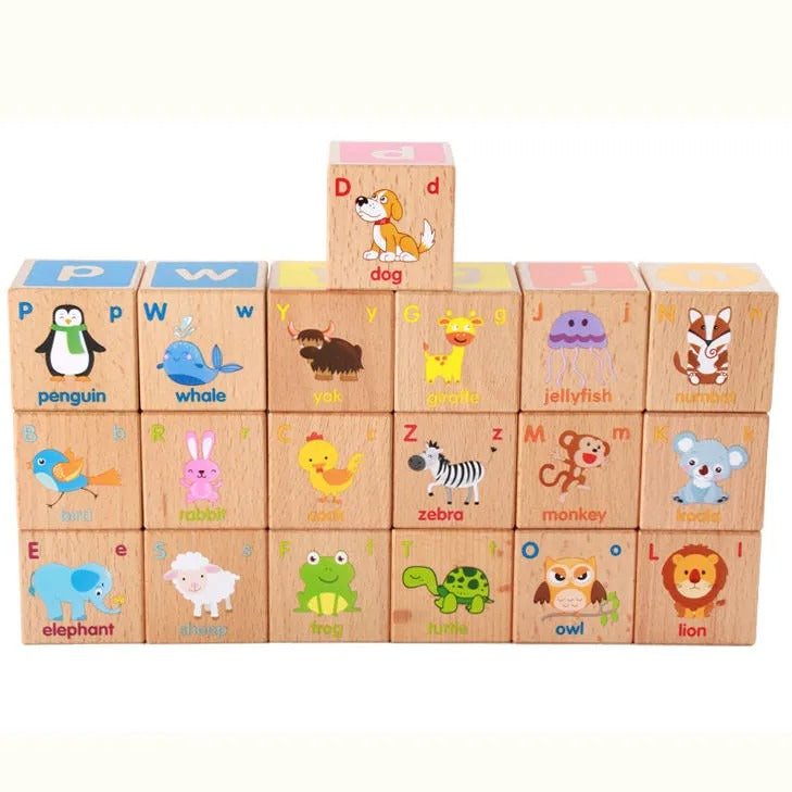 Alphabet Learning & Construction Block Set