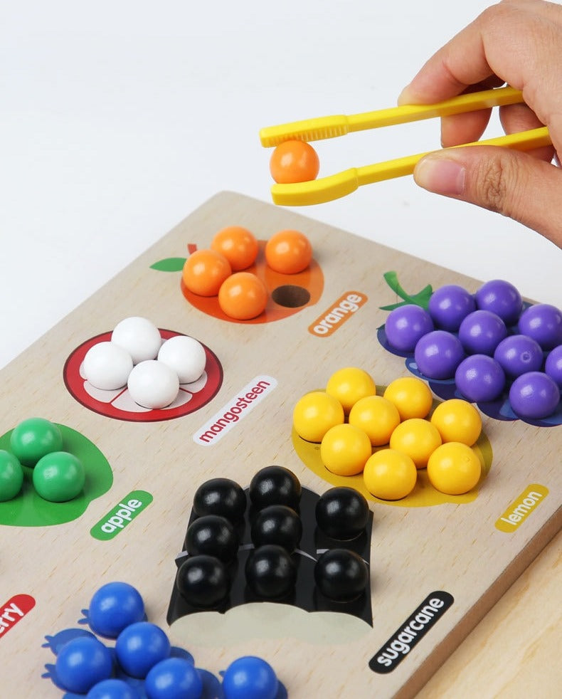 STEM Montessori Wooden Fruit Sorting Puzzle Board