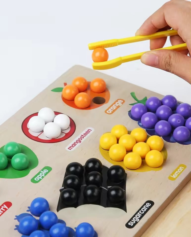 STEM Montessori Wooden Fruit Sorting Puzzle Board