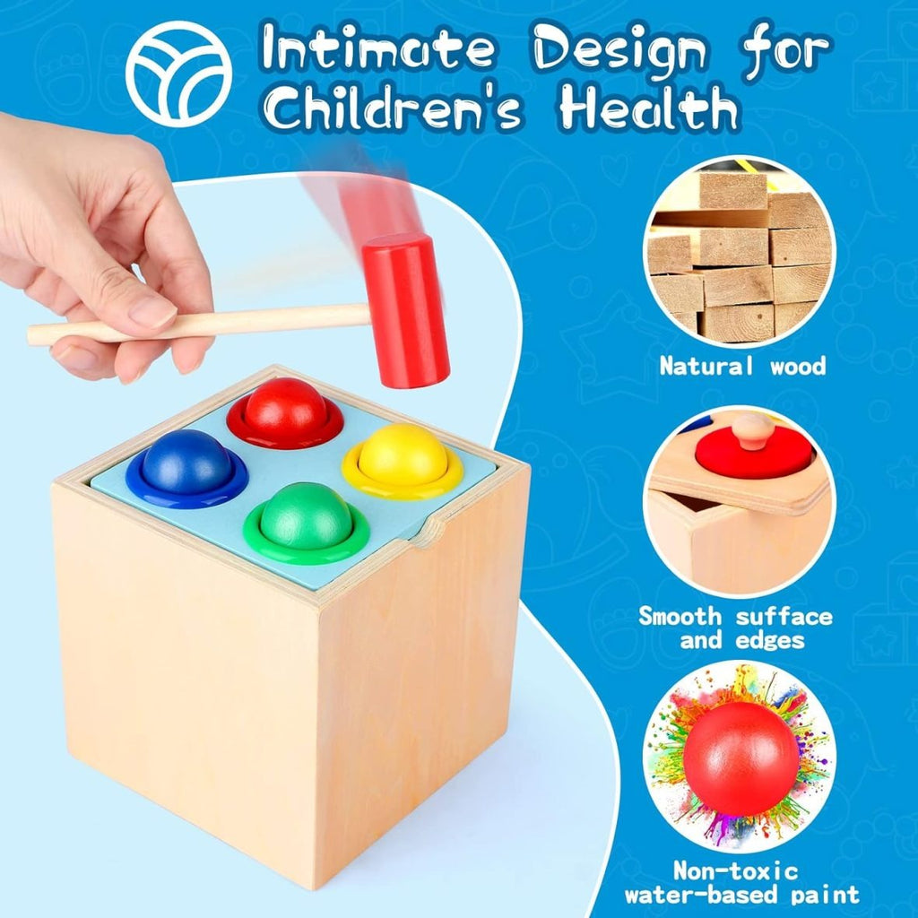 5-in-1 Wooden Montessori Toy