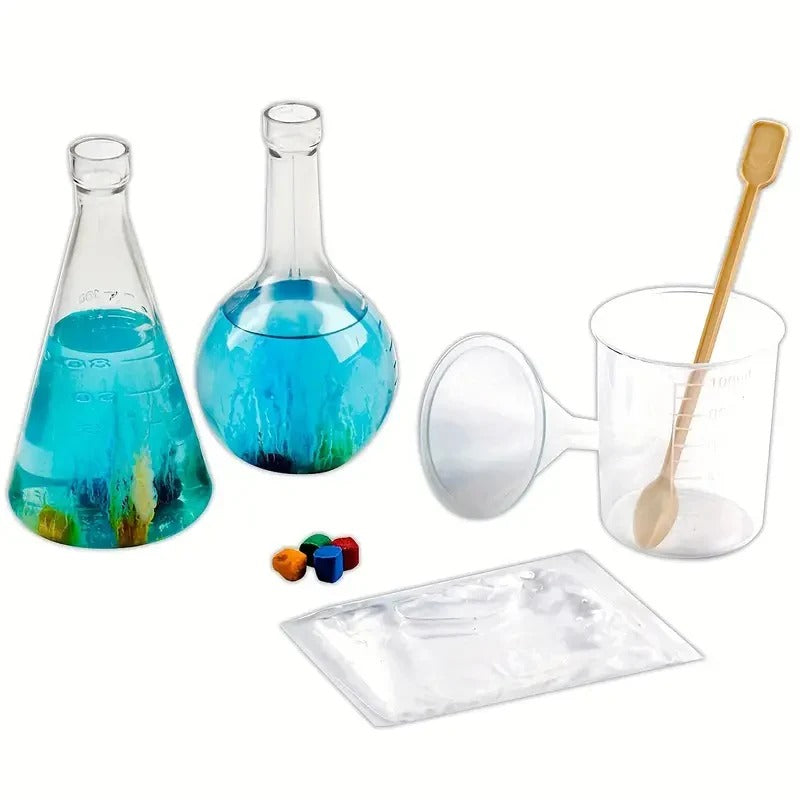DIY Growth Stone Water Garden Science Experiment Kit