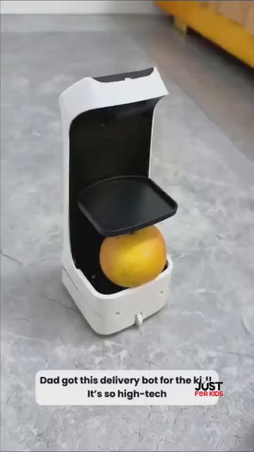 Intelligent Food Delivery Robot video preview