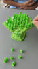 Frog Balance Tree Challenge Family Game