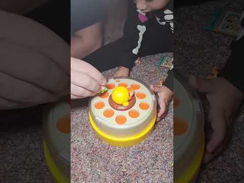 Duck Catch and Bounce Game